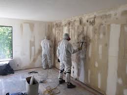 Why You Should Choose Our Mold Remediation Services in Jackson, WI